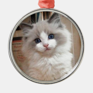 Ragdoll Kitten Cutie Metalen Ornament