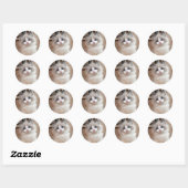 Ragdoll Kitten Cutie Ronde Sticker (Vel)