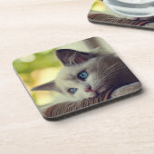 Ragdoll Kitten Drankjes Onderzetter (Linkerzijde)