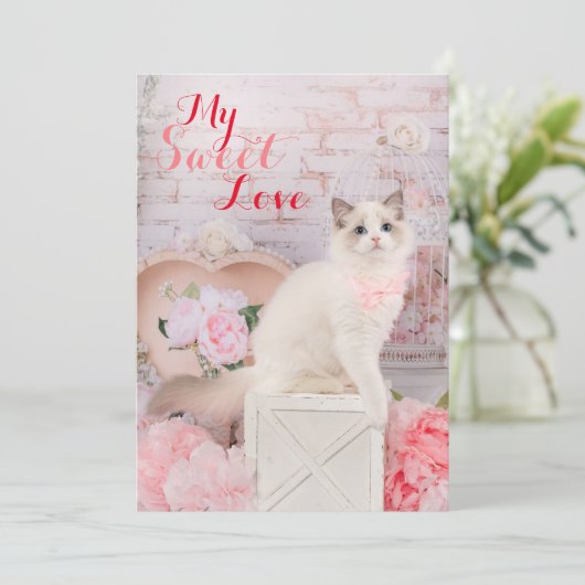 Ragdoll Kitten Flat Vakantie Kaart (Staand voorkant)