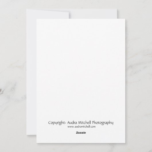 Ragdoll Kitten Flat Vakantie Kaart (Achterkant)