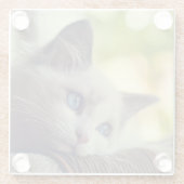 Ragdoll Kitten Glazen Onderzetter (Achterkant)
