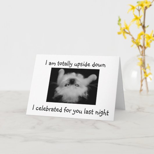 RAGDOLL KITTEN HELEMAAL UIT DE 21E VERJAARDAG KAART (Gele Bloem)