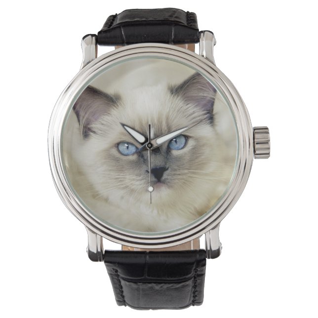 Ragdoll kitten horloge (Voorkant)