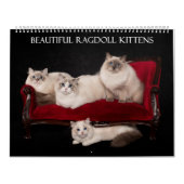 Ragdoll Kitten Kalender (Hoes)