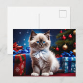 Ragdoll Kitten Kerstcadeau Briefkaart (Voorkant / Achterkant)