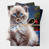 Ragdoll Kitten Kerstcadeau Inpakpapier Vel (In situ)