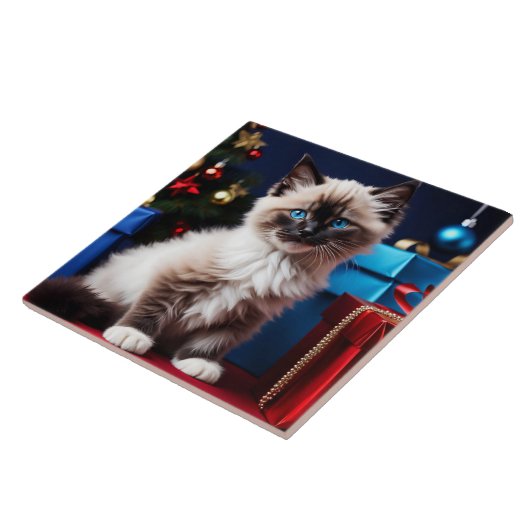 Ragdoll Kitten Kerstcadeau Tegeltje (Zijkant)