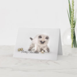 Ragdoll kitten kerstkaart feestdagen kaart