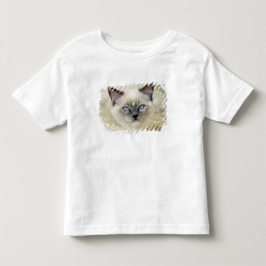 Ragdoll kitten kinder shirts (Voorkant)