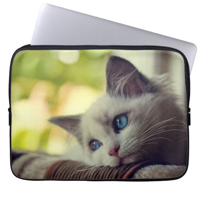 Ragdoll Kitten Laptop Sleeve (Voorkant)