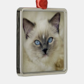 Ragdoll kitten metalen ornament (Rechts)