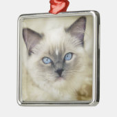 Ragdoll kitten metalen ornament (Links)