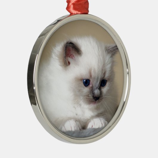 Ragdoll Kitten Metalen Ornament (Rechts)