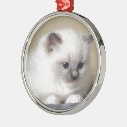 Ragdoll Kitten Metalen Ornament (Links)