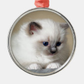 Ragdoll Kitten Metalen Ornament (Voorkant)