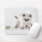 Ragdoll Kitten mousepad Muismat (Met muis)