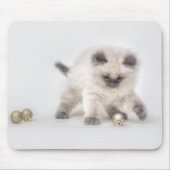 Ragdoll Kitten mousepad Muismat (Voorkant)