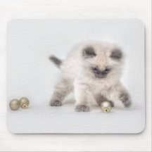 Ragdoll Kitten mousepad