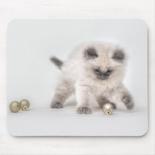 Ragdoll Kitten mousepad Muismat (Voorkant)