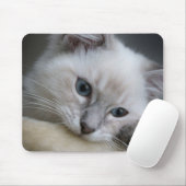 ragdoll kitten mousepad muismat (Met muis)