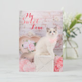 Ragdoll Kitten Plat Kerstkaart (Staand voorkant)