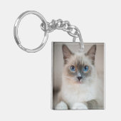Ragdoll Kitten Portrait Sleutelhanger (Voorkant Links)