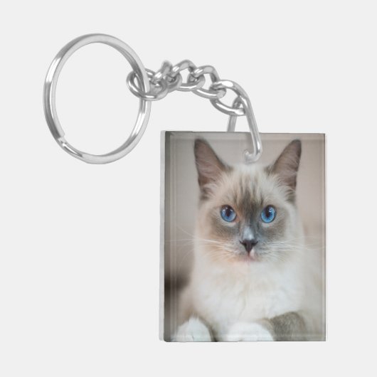 Ragdoll Kitten Portrait Sleutelhanger (Voorkant Links)