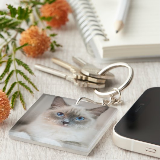 Ragdoll Kitten Portrait Sleutelhanger (Voorkant Rechts)