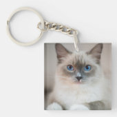 Ragdoll Kitten Portrait Sleutelhanger (Voorkant)