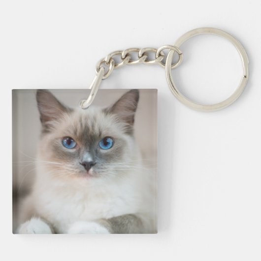 Ragdoll Kitten Portrait Sleutelhanger (Achterkant)