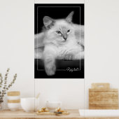 ragdoll kitten poster (Keuken)
