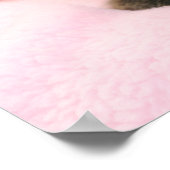 ragdoll kitten poster (Hoek)