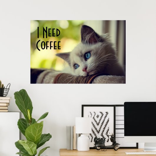 Ragdoll Kitten Poster (Thuiskantoor)