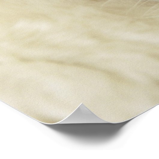 Ragdoll kitten poster (Hoek)