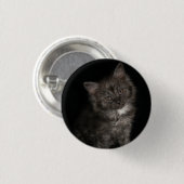 Ragdoll kitten ragdoll katten zwart wit kat ronde button 3,2 cm (Voorkant /achterkant)