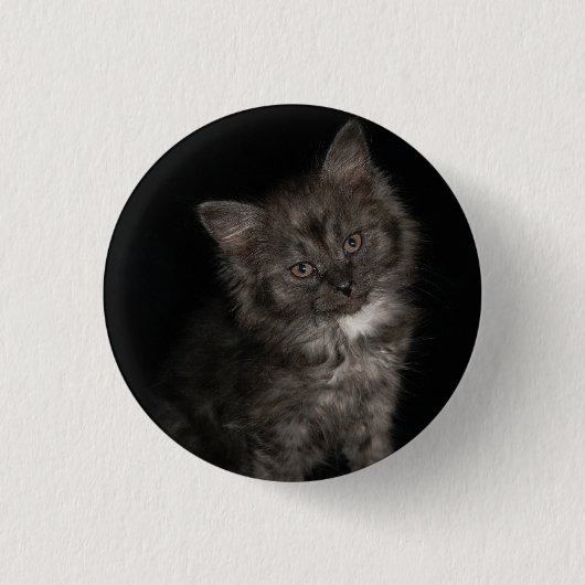 Ragdoll kitten ragdoll katten zwart wit kat ronde button 3,2 cm (Voorkant)