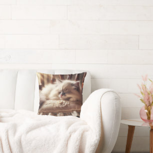 Ragdoll Kitten slapen op een kussen