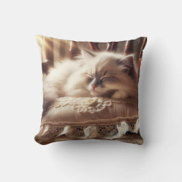 Ragdoll Kitten slapen op een kussen