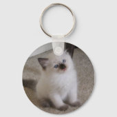 Ragdoll Kitten Sleutelhanger (Voorkant)