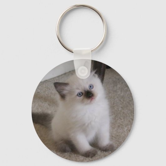 Ragdoll Kitten Sleutelhanger (Voorkant)
