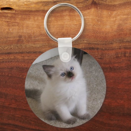 Ragdoll Kitten Sleutelhanger (Voorkant)
