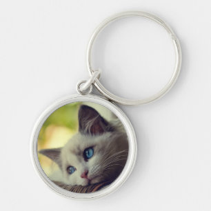 Ragdoll Kitten Sleutelhanger