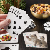 Ragdoll Kitten Speelt Met Bellen Pokerkaarten (Insitu)