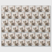 Ragdoll Kitten spelen met bubbels Cadeaupapier (Vlak)