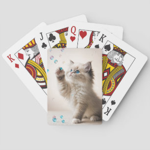Ragdoll Kitten spelen met bubbels Pokerkaarten