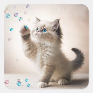Ragdoll Kitten spelen met bubbels Vierkante Sticker