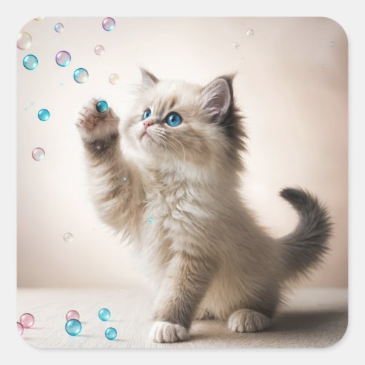 Ragdoll Kitten spelen met bubbels Vierkante Sticker (Voorkant)