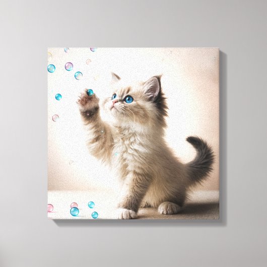 Ragdoll Kitten spelen met zeepbellen Canvas Afdruk (Voorkant)