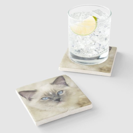 Ragdoll kitten stenen onderzetter (Zijkant)